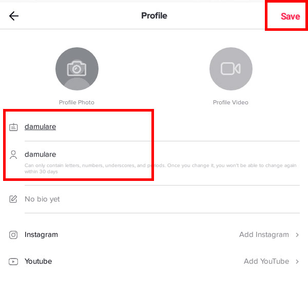 tiktok video download online with username