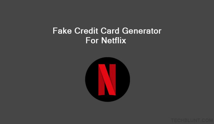 Fake Credit Card Generator For Netflix